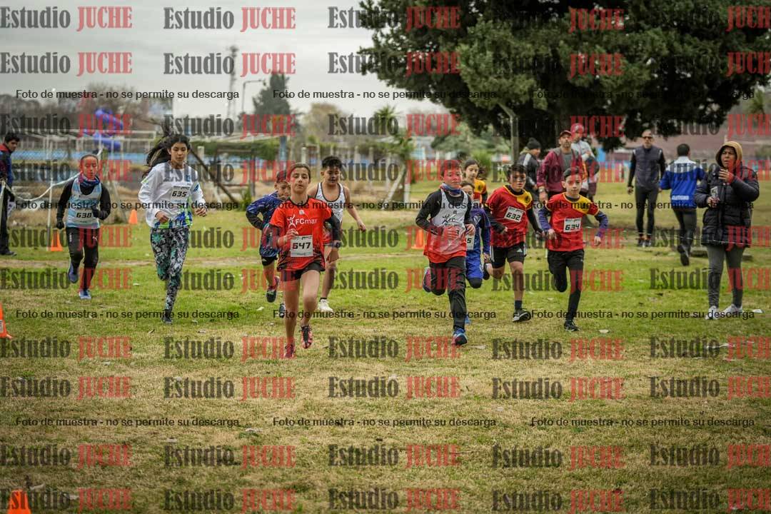Fotos en de la largada