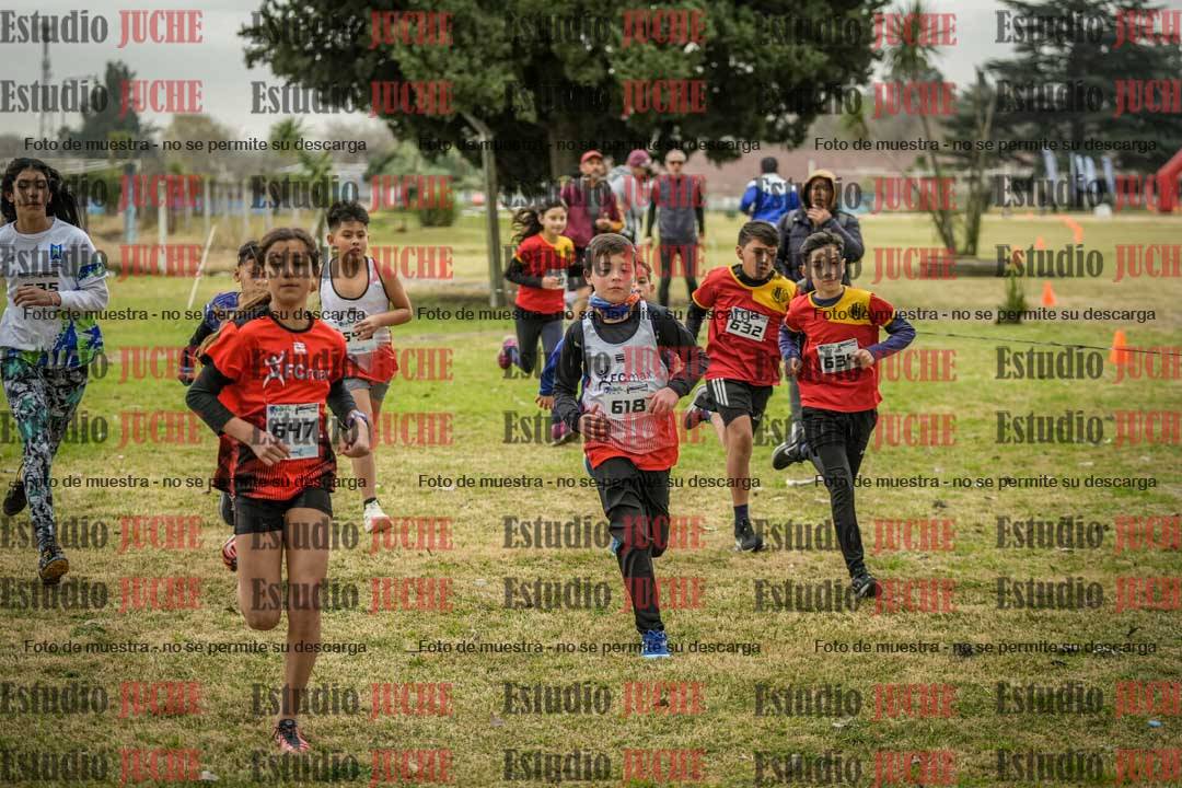 Fotos en de la largada