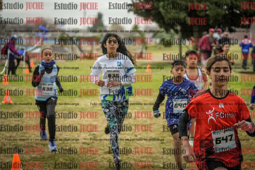 Fotos en de la largada