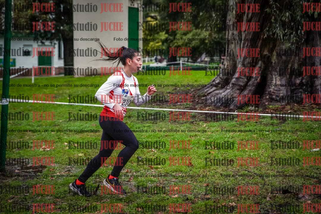 Fotos en el circuito