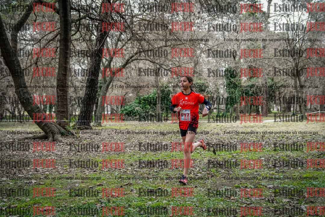 Fotos en el circuito