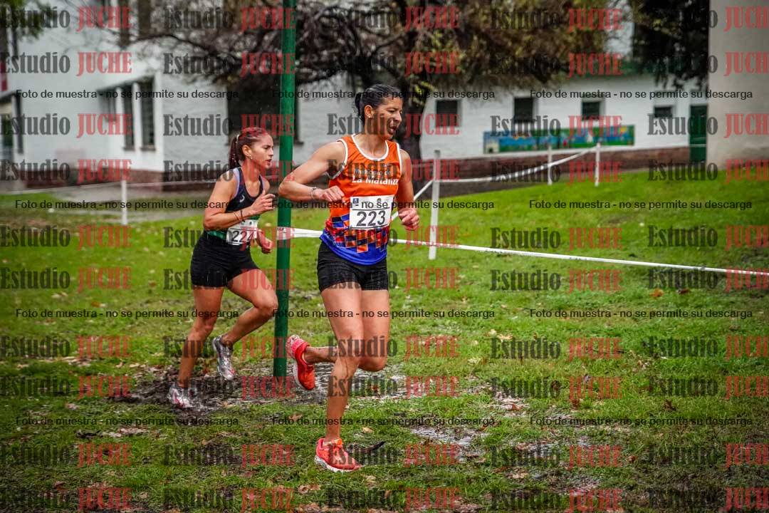 Fotos en el circuito
