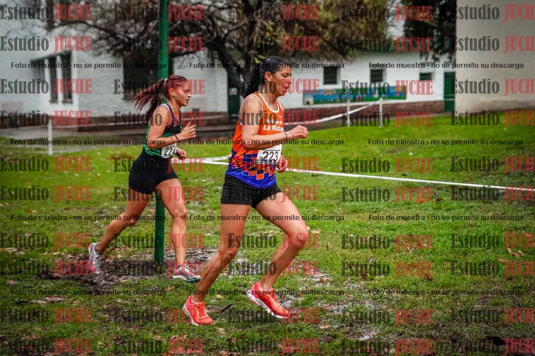 Fotos en el circuito