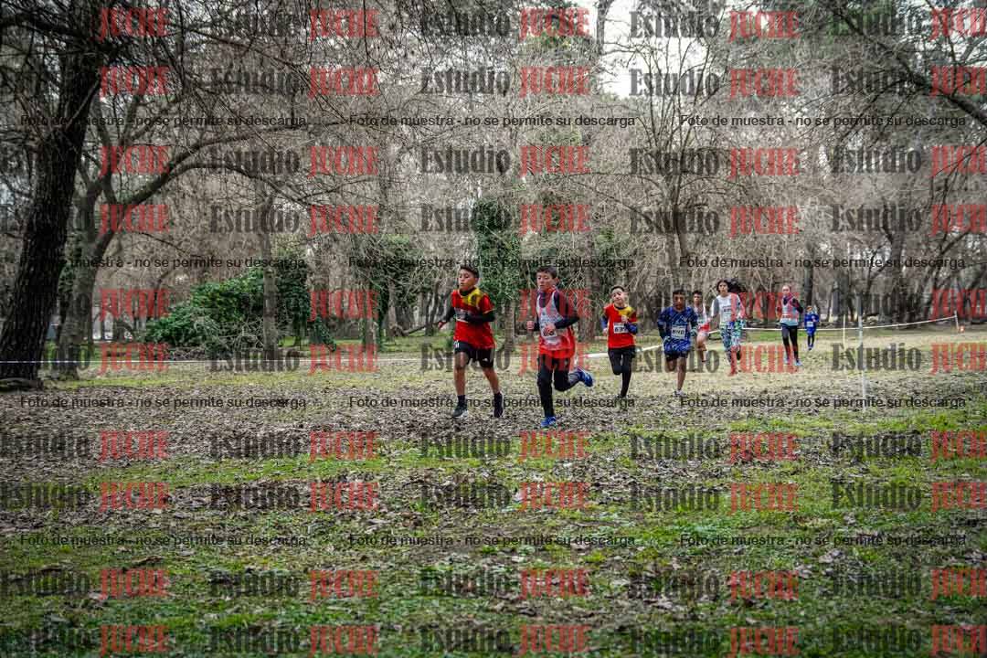 Fotos en el circuito