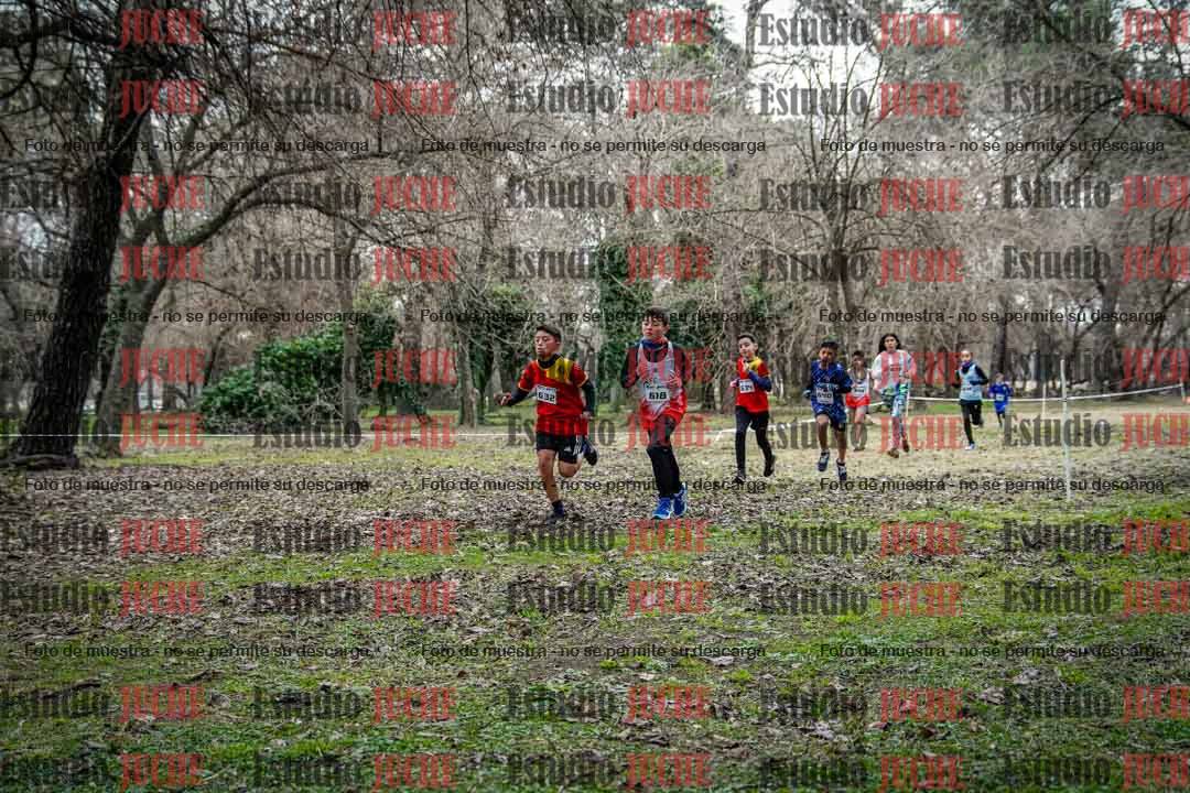 Fotos en el circuito