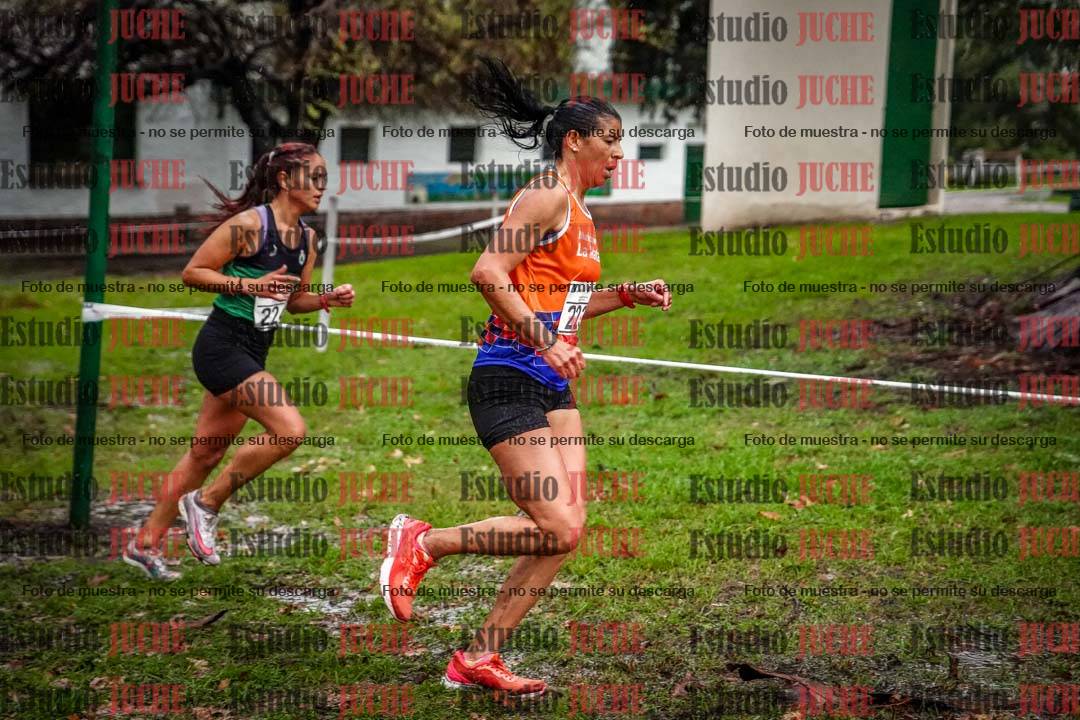 Fotos en el circuito