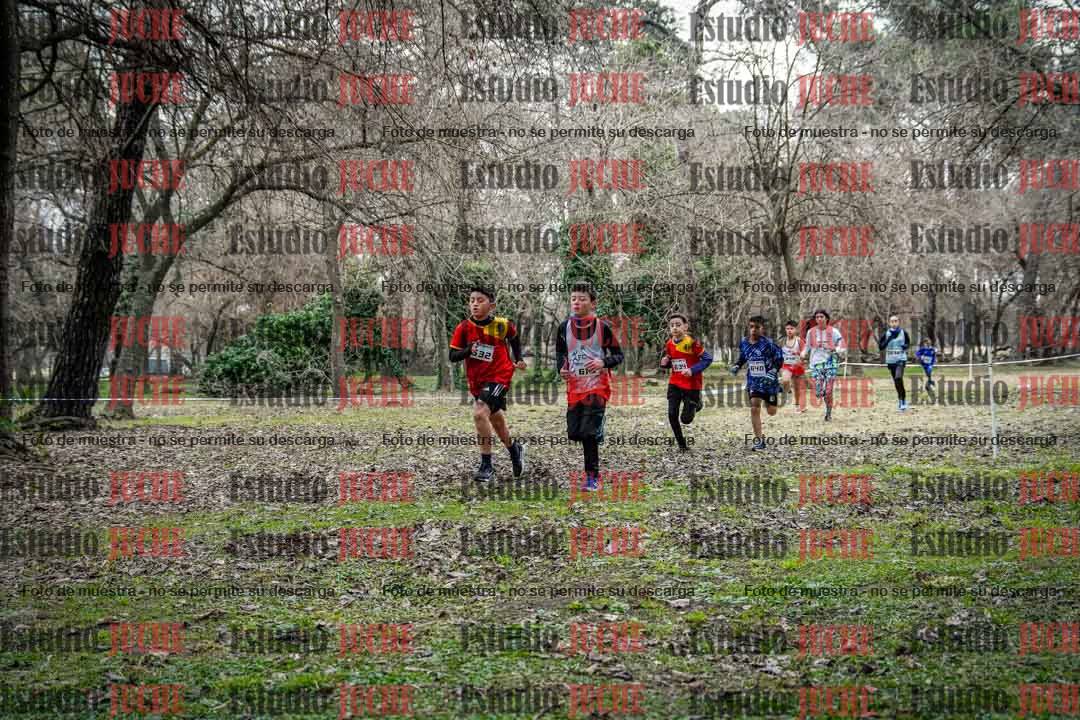 Fotos en el circuito