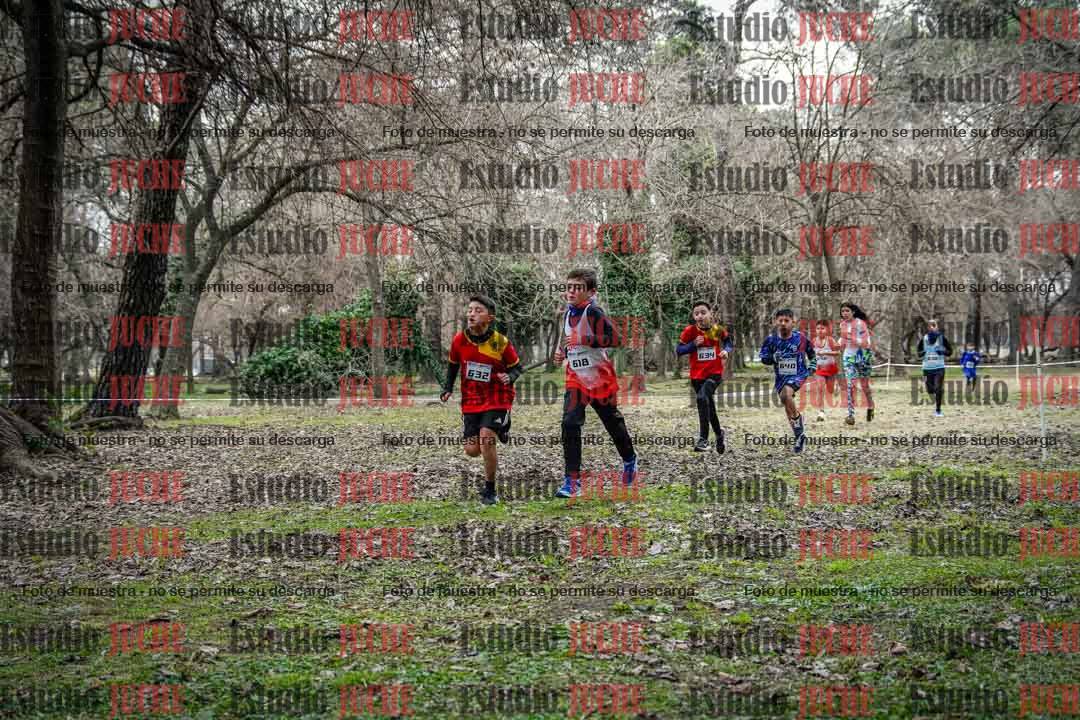 Fotos en el circuito