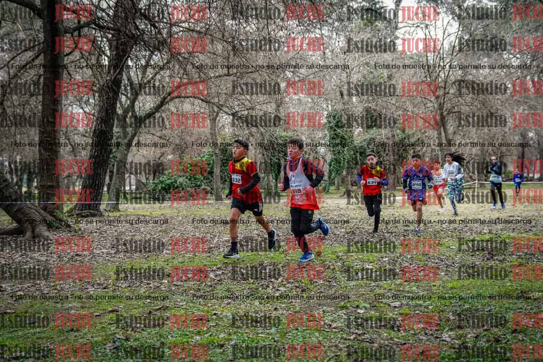 Fotos en el circuito