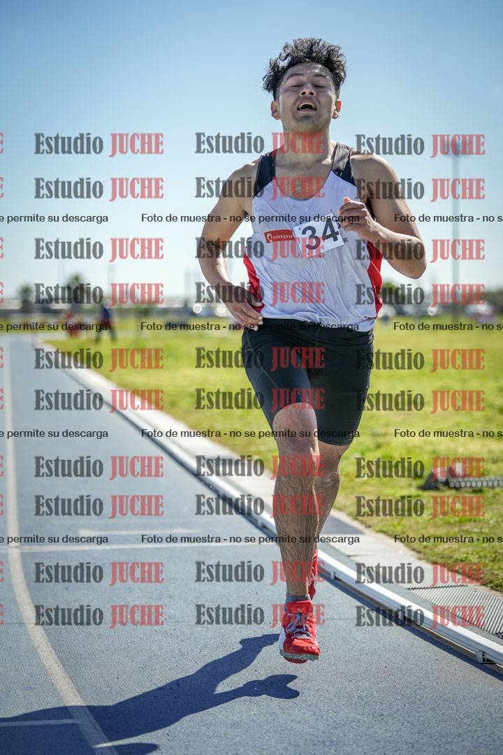 Fotos de los 3000 m con obstáculos de varones
