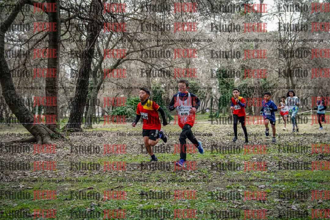 Fotos en el circuito