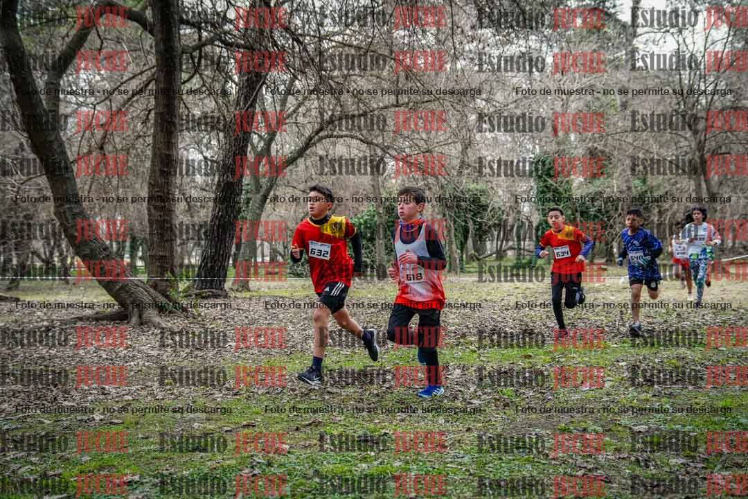 Fotos en el circuito