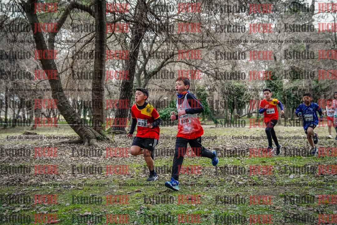 Fotos en el circuito