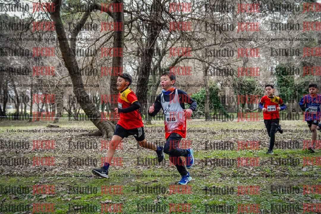 Fotos en el circuito