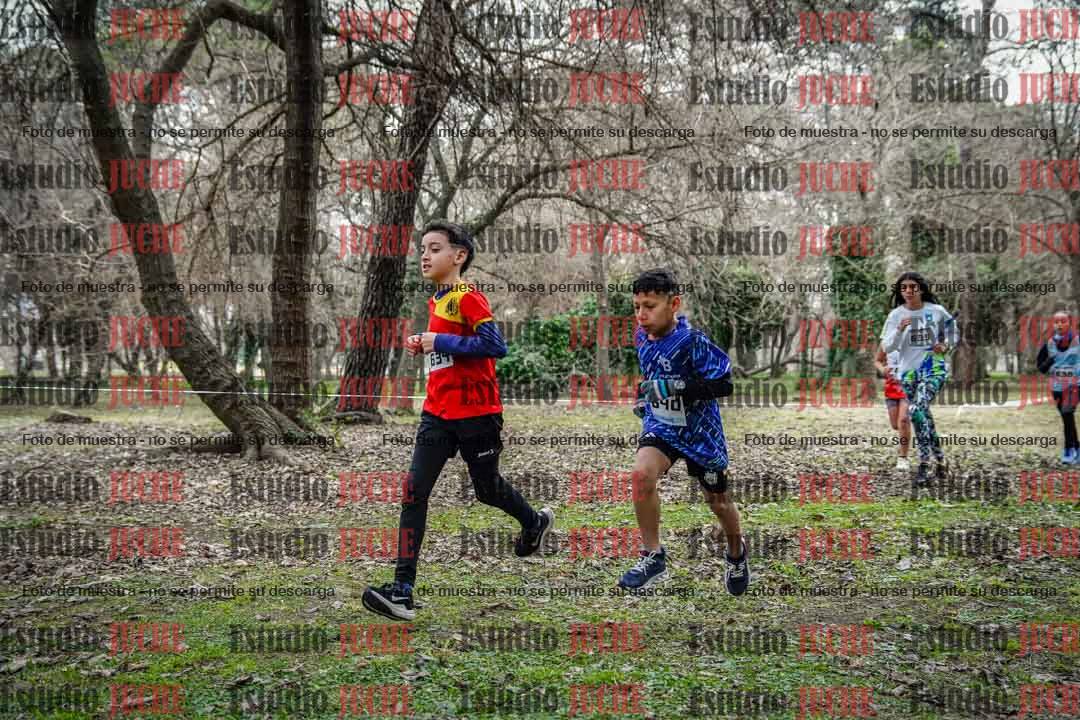 Fotos en el circuito