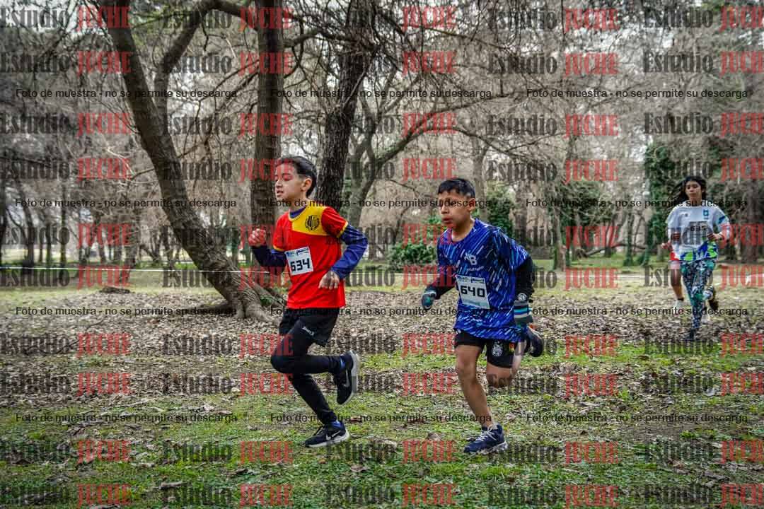 Fotos en el circuito