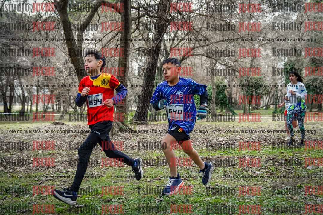 Fotos en el circuito