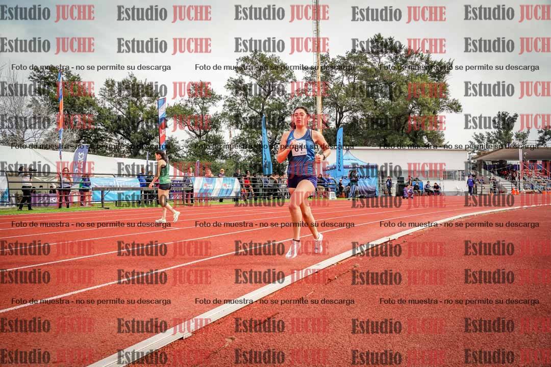 Fotos de los 1500 m de mujeres