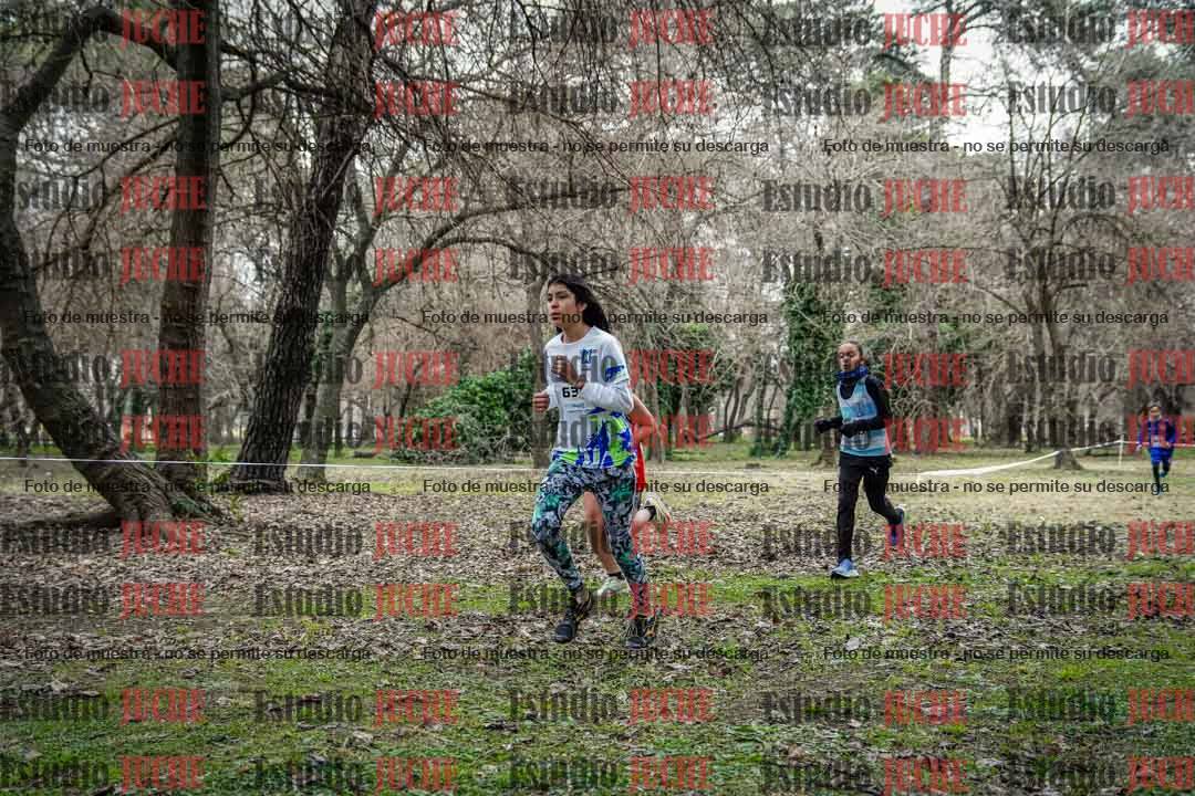 Fotos en el circuito