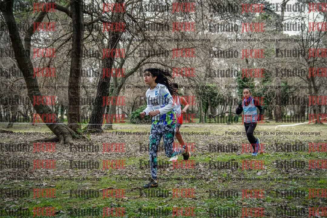 Fotos en el circuito