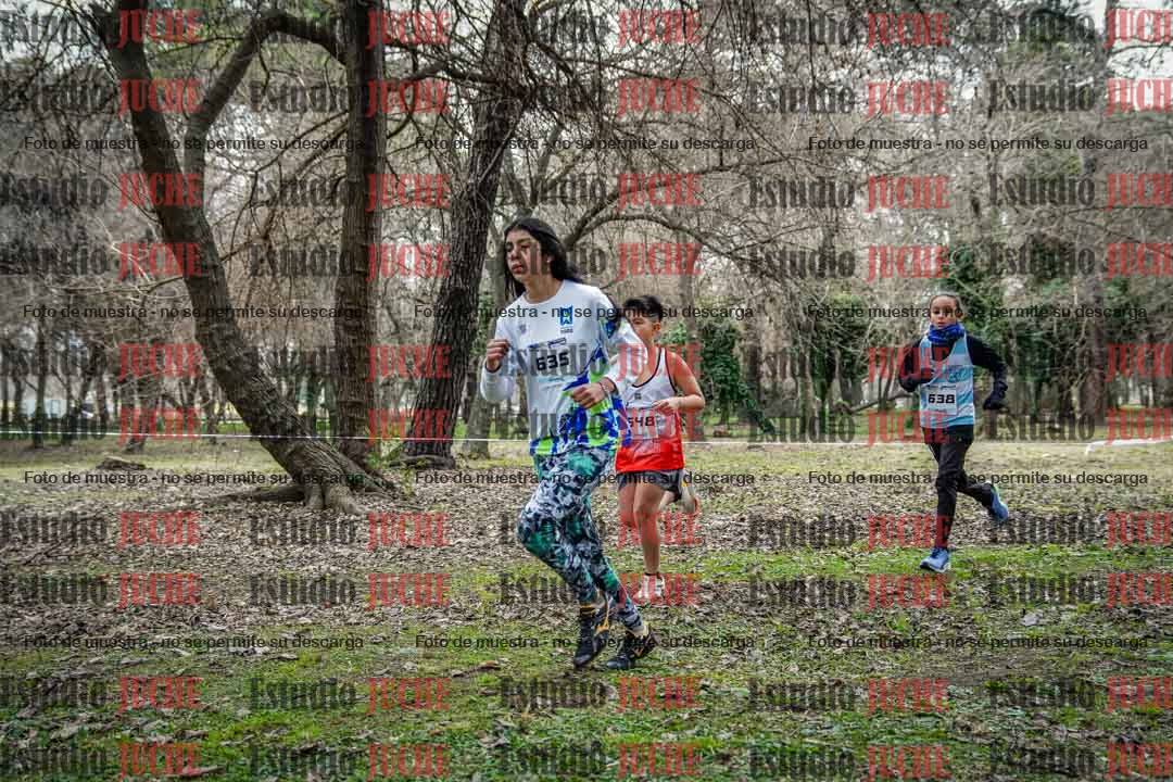 Fotos en el circuito