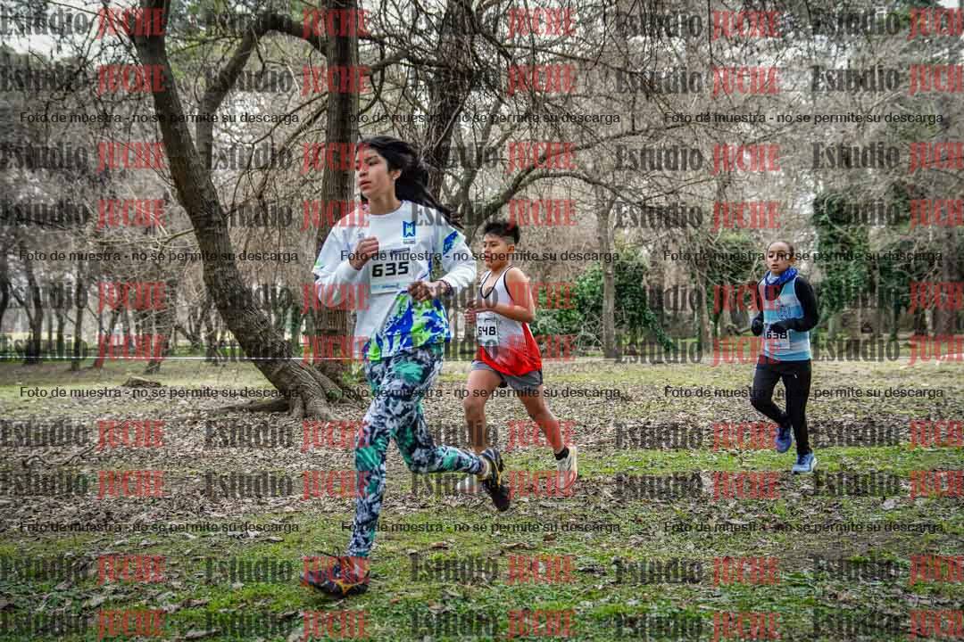 Fotos en el circuito
