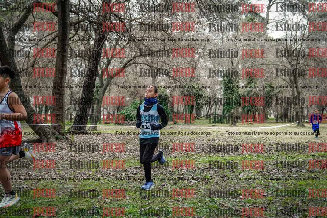 Fotos en el circuito