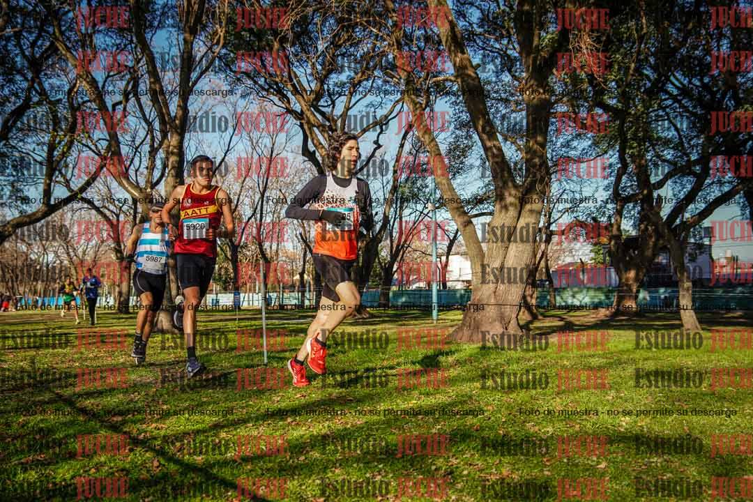Fotos en el circuito