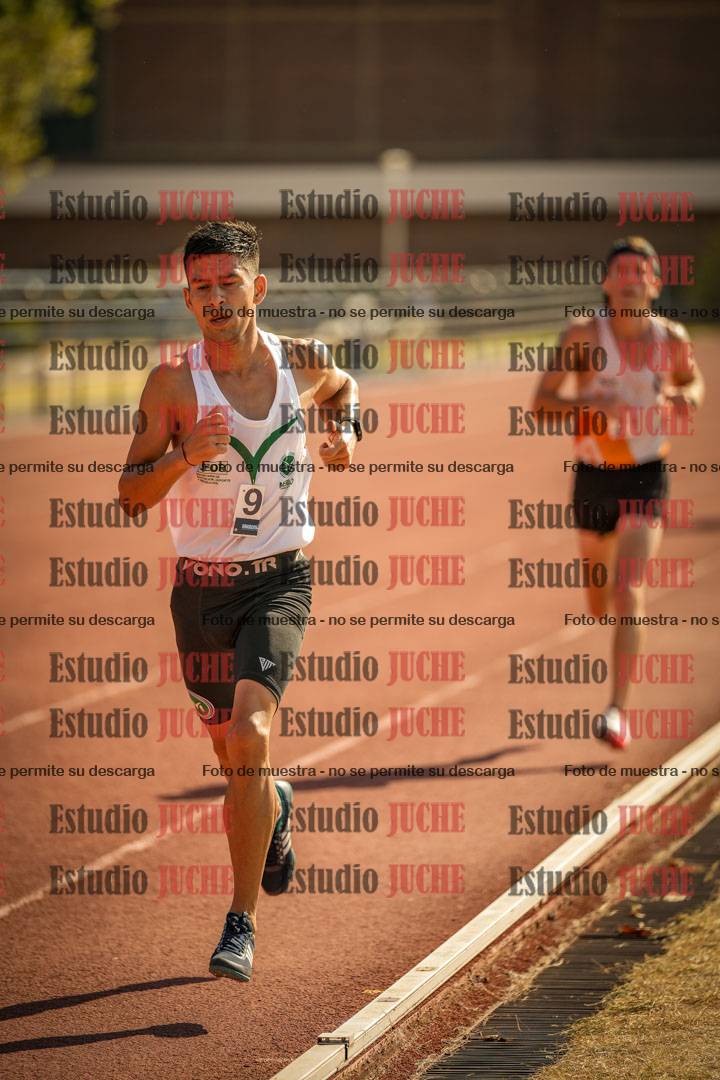 Fotos de los 3000 m llanos de varones