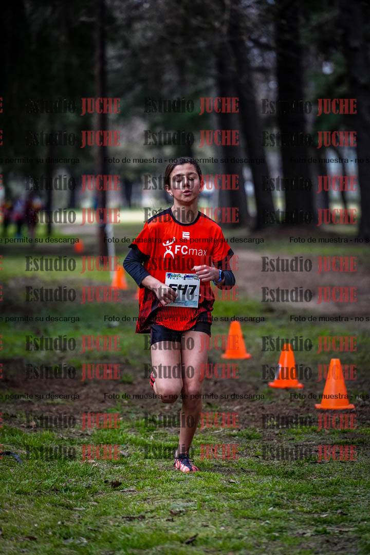 Fotos en el circuito