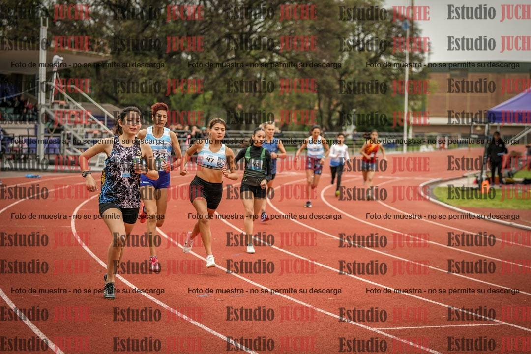 Fotos de los 800 m llanos de mujeres