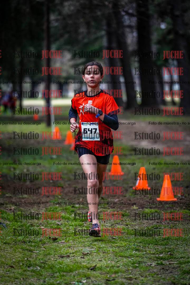 Fotos en el circuito