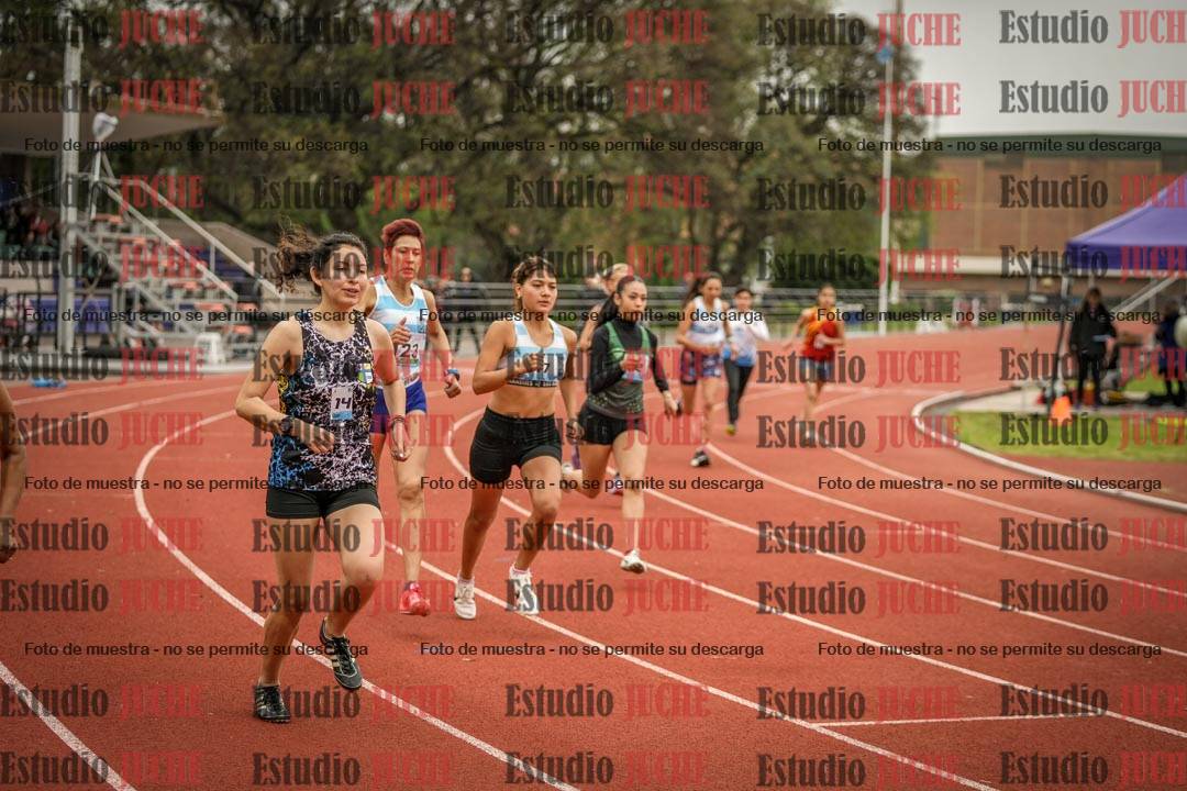 Fotos de los 800 m llanos de mujeres