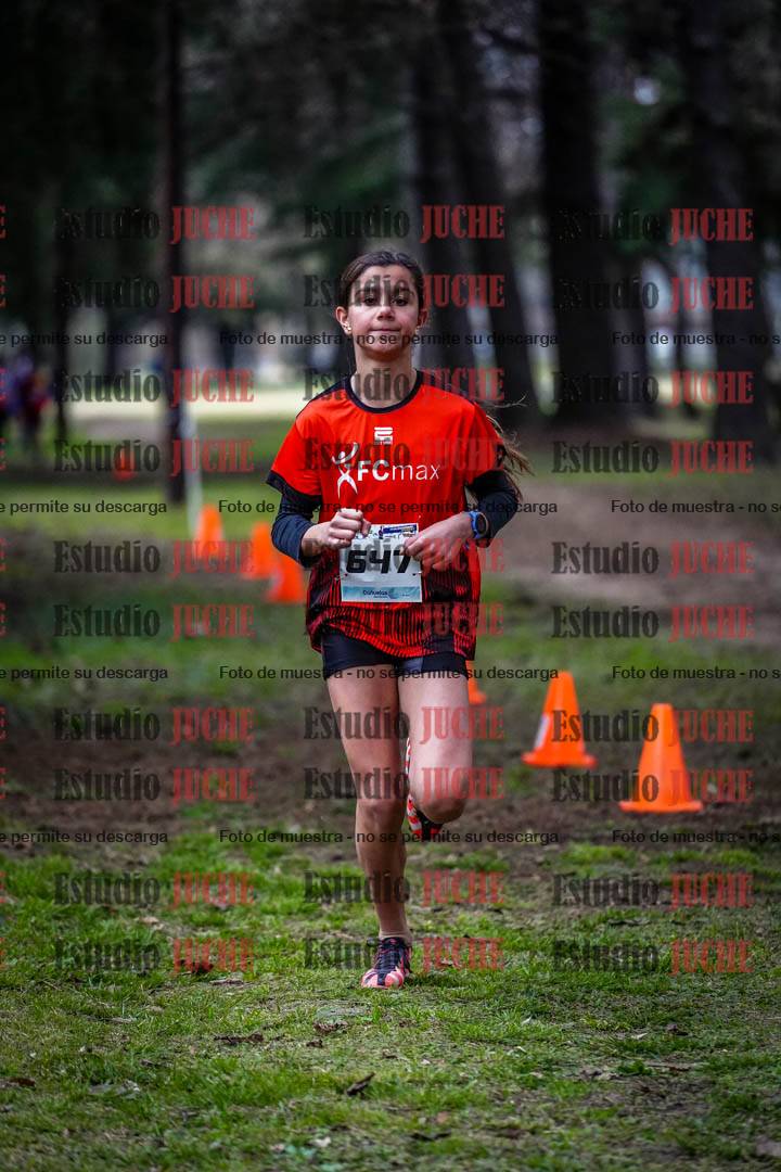 Fotos en el circuito