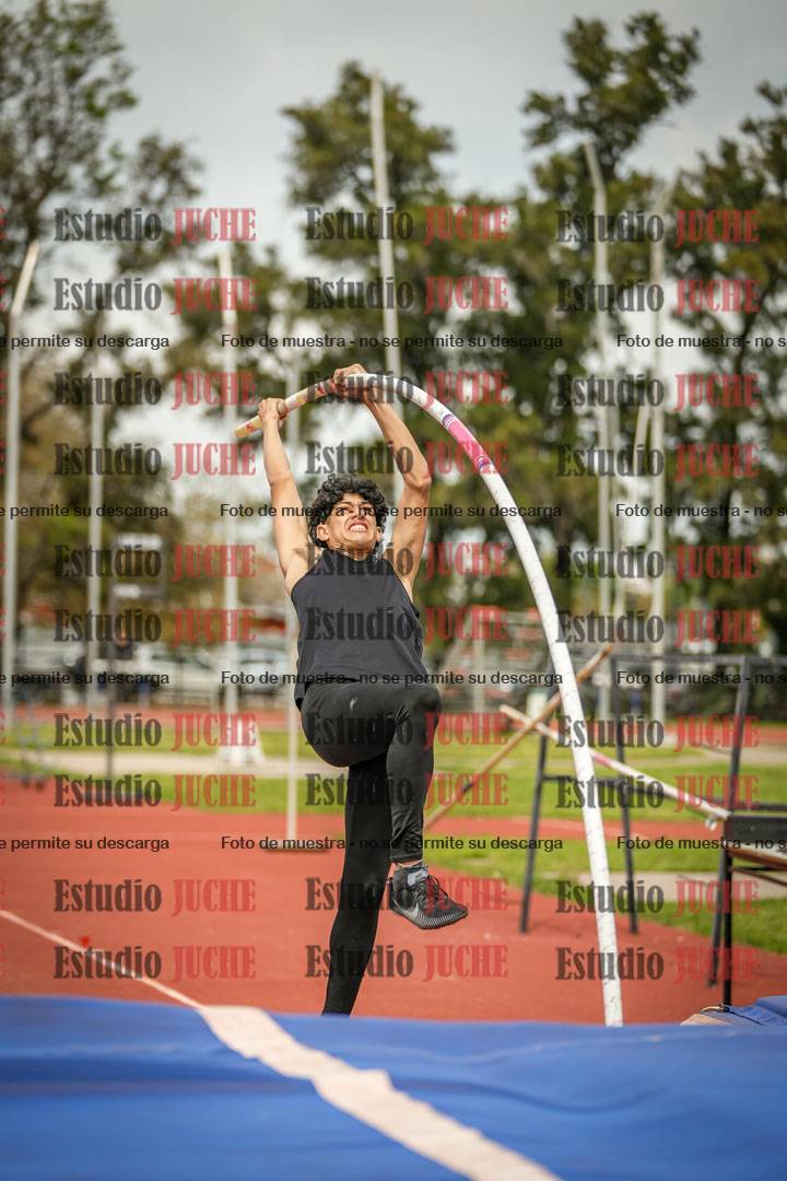 Fotos del salto con garrocha de varones