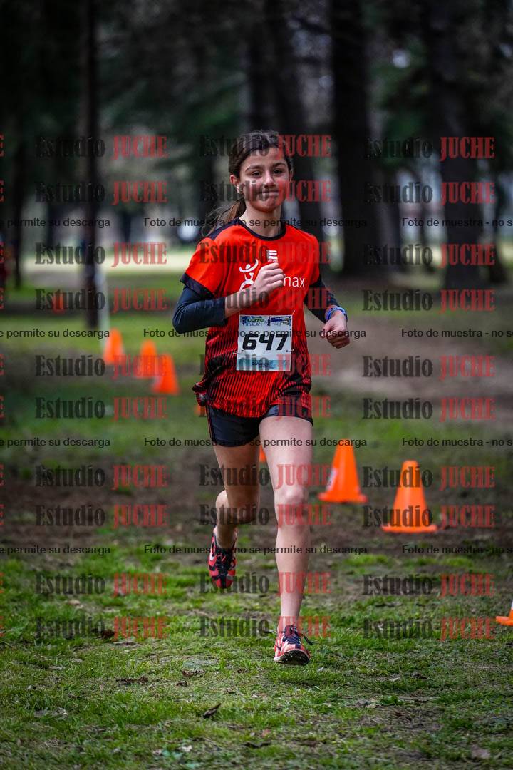 Fotos en el circuito