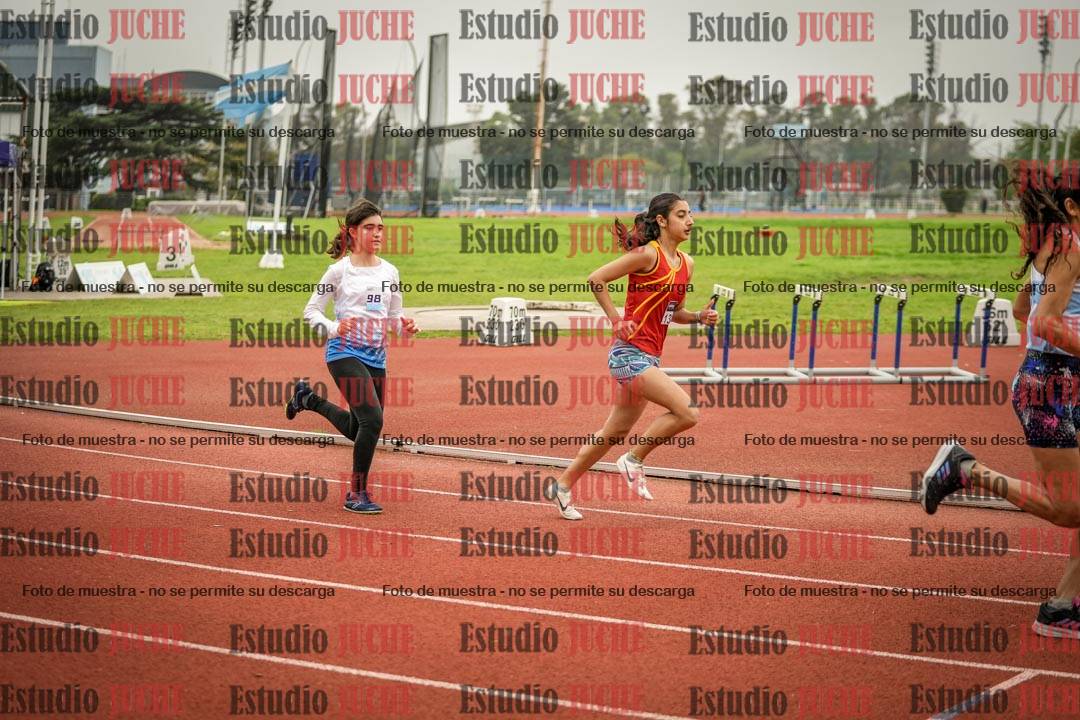 Fotos de los 800 m llanos de mujeres