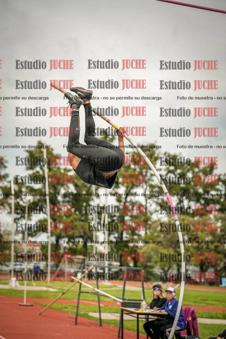 Fotos del salto con garrocha de varones