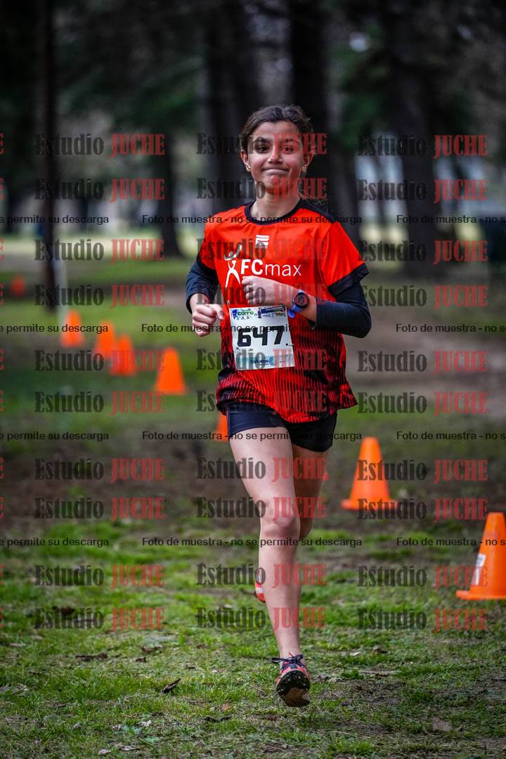 Fotos en el circuito
