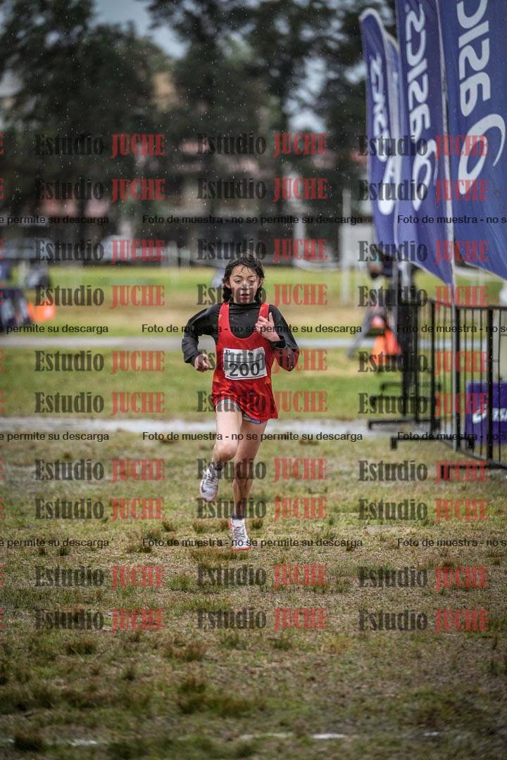 Fotos de la llegada