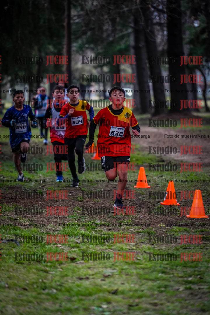 Fotos en el circuito