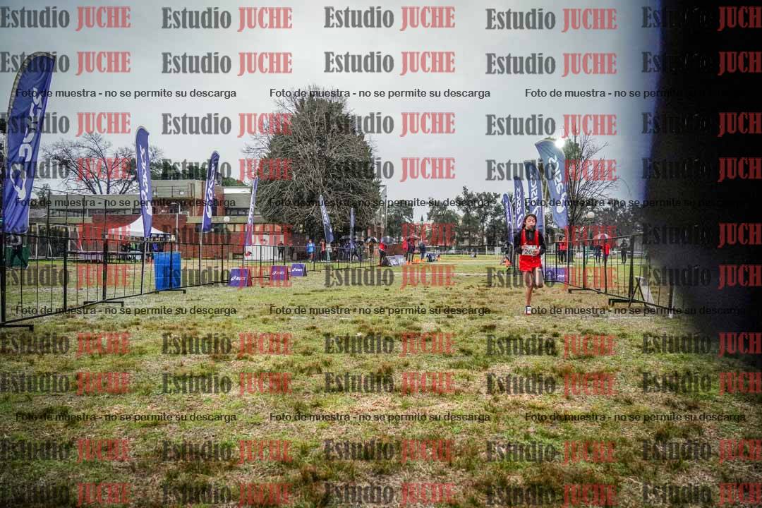 Fotos de la llegada