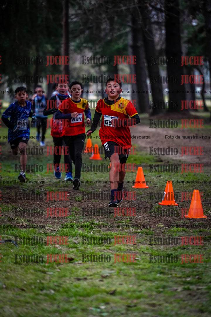 Fotos en el circuito