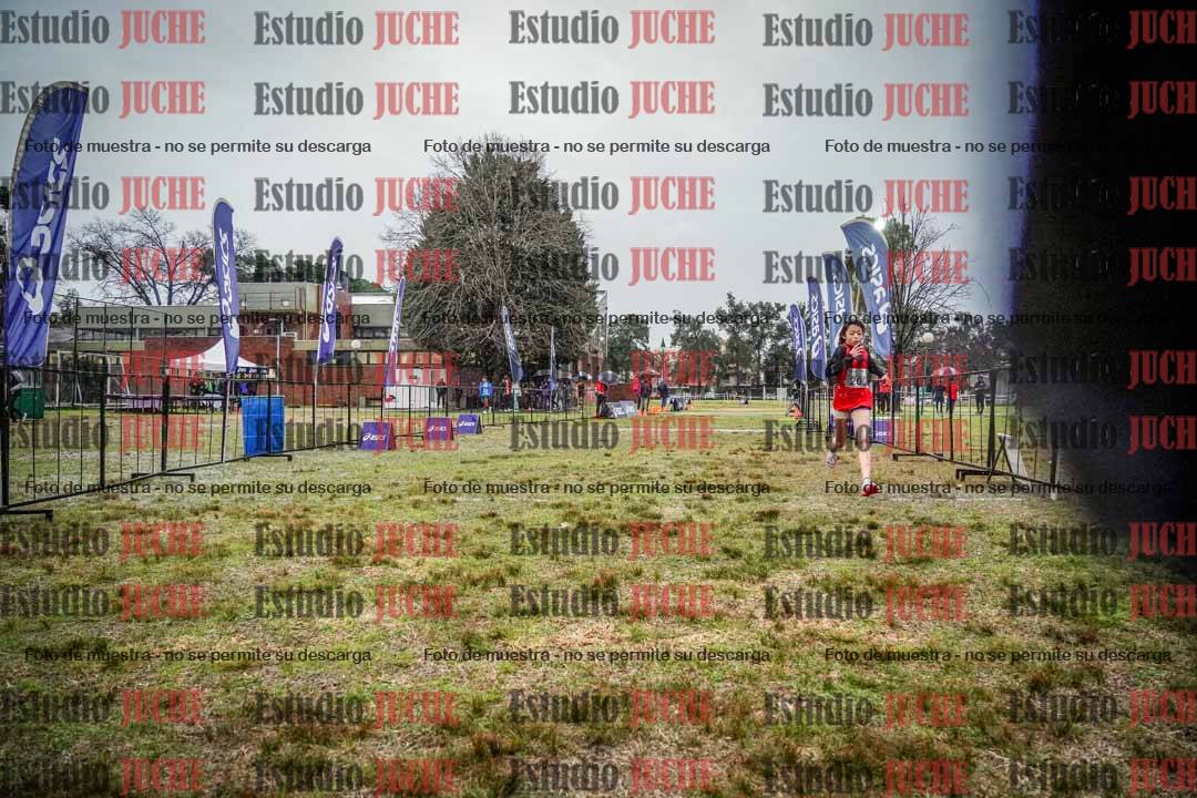 Fotos de la llegada