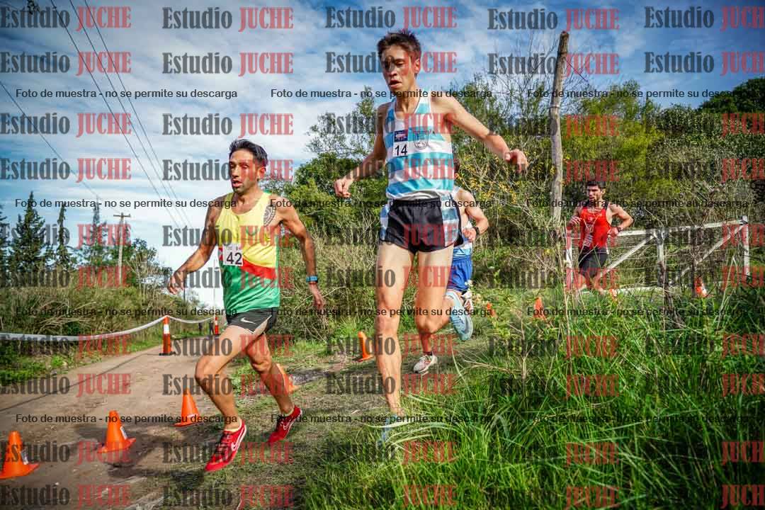 Fotos en el circuito