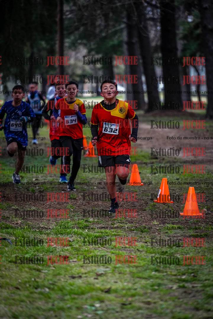 Fotos en el circuito