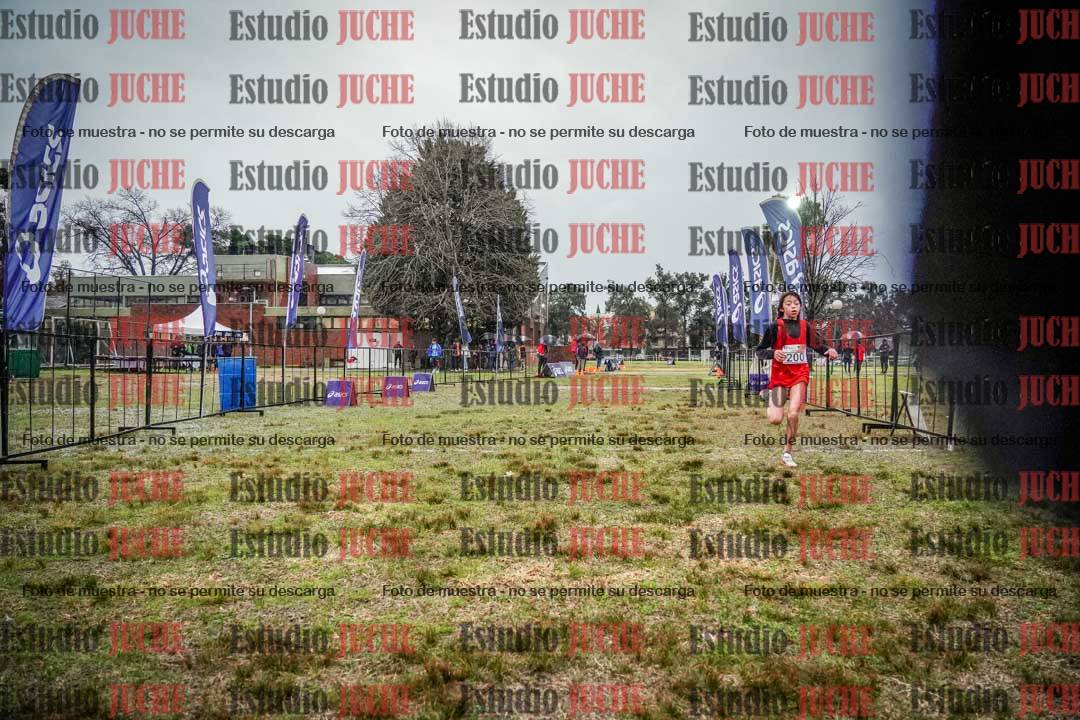 Fotos de la llegada