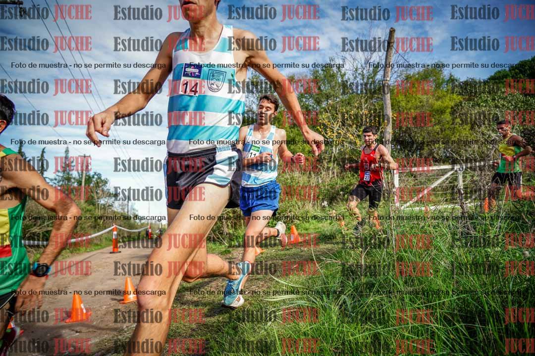 Fotos en el circuito