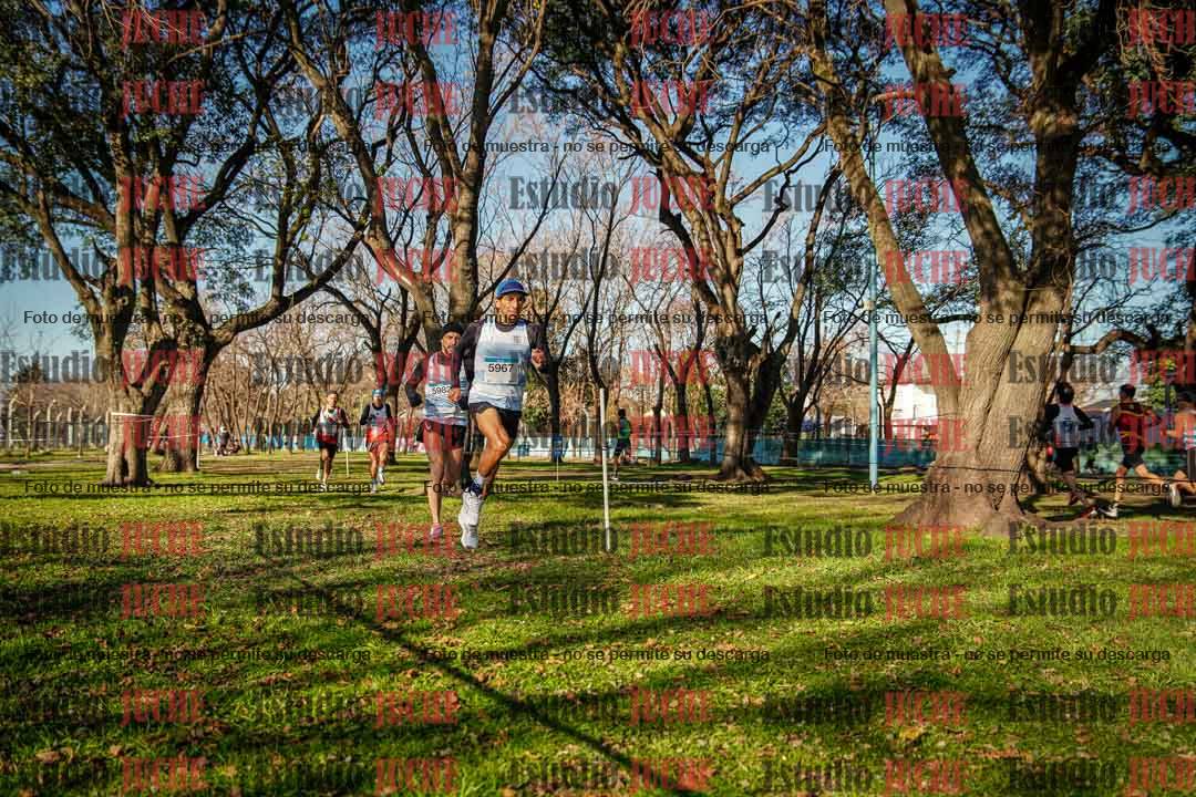 Fotos en el circuito