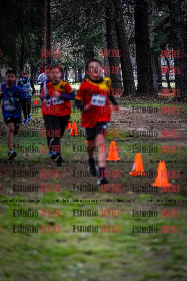 Fotos en el circuito